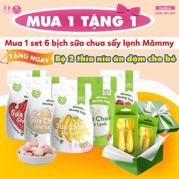 Set 6 bịch sữa chua sấy lạnh Mămmy